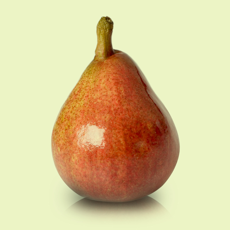 Red Anjou